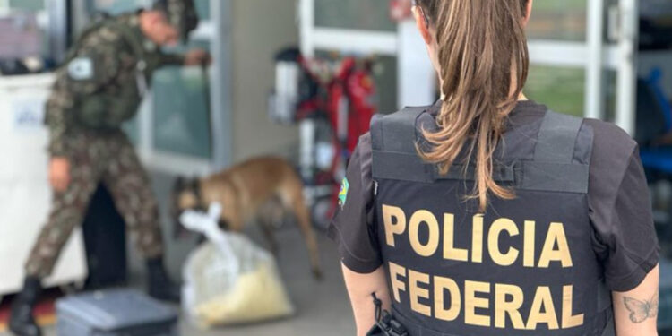 Jovem de 18 anos é presa com anabolizantes e produtos eletrônicos no Aeroporto do Recife.