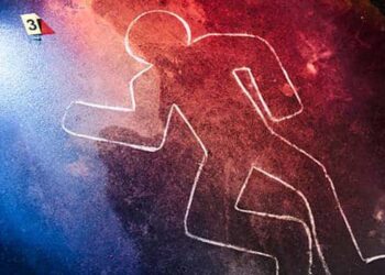 crime assassinato murder