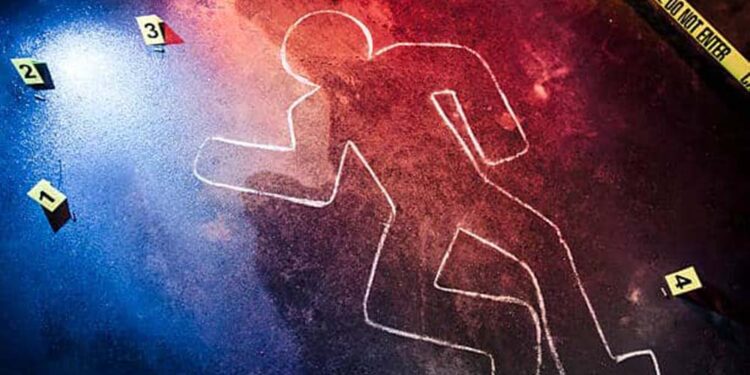 crime assassinato murder