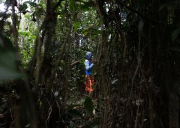 Organizações criminosas como o PCC, se expandem cada vez mais na Amazônia