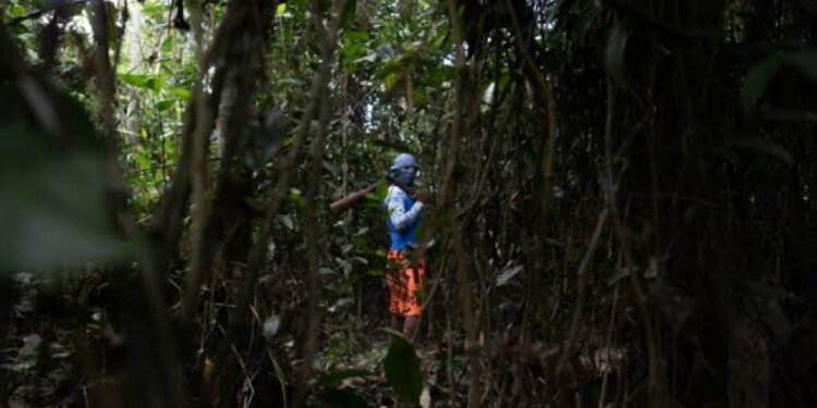 Organizações criminosas como o PCC, se expandem cada vez mais na Amazônia