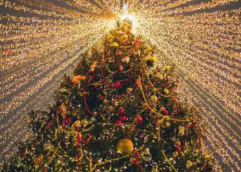 Prefeito de Olinda demite terceirizados, mas gasta R$ 896,6 mil em decoração natalina.