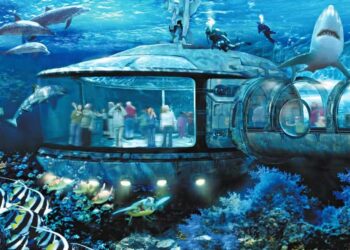 Projeto do Acquario prevê 25 tanques com animais, túneis submersos e simulador de submarino