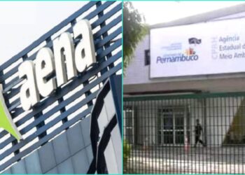 CPRH aciona concessionária do Aeroporto dos Guararapes por corte de árvores.