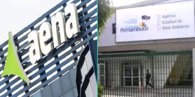 CPRH aciona concessionária do Aeroporto dos Guararapes por corte de árvores.