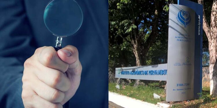 Órgão vai apurar violação de direitos dos funcionários no IPA