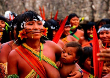 Yanomami habitam o extremo Norte da Floresta Amazônica