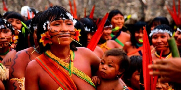 Yanomami habitam o extremo Norte da Floresta Amazônica