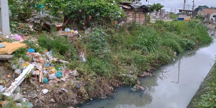 Abandono e enchentes: moradores de Torrões sofrem com descaso da Prefeitura.