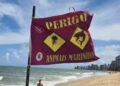 Praias da Zona Sul de Recife tem muitos acidentes com tubarão
