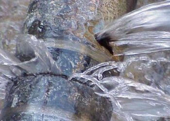 Vazamento de água em cano da Compesa no Canal do Arruda aguarda providências há mais de 6 meses.