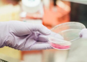 Médica é acusada de aplicar golpes com diagnósticos falsos de câncer de pele.