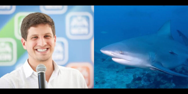 O prefeito João Campos pretende acabar com os tubarões em praia no Recife