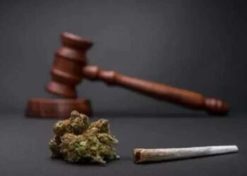 Posicionamento de ministros do STF sobre descriminalização do Porte de Maconha.