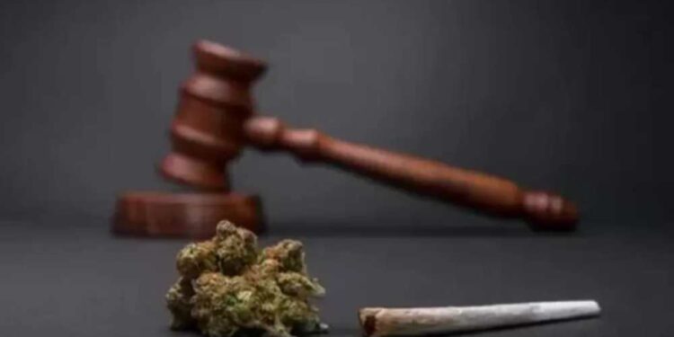 Posicionamento de ministros do STF sobre descriminalização do Porte de Maconha.