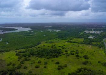 Imobiliária Imobi é acusada de invadir sítio em Pernambuco em meio a disputa por loteamento.