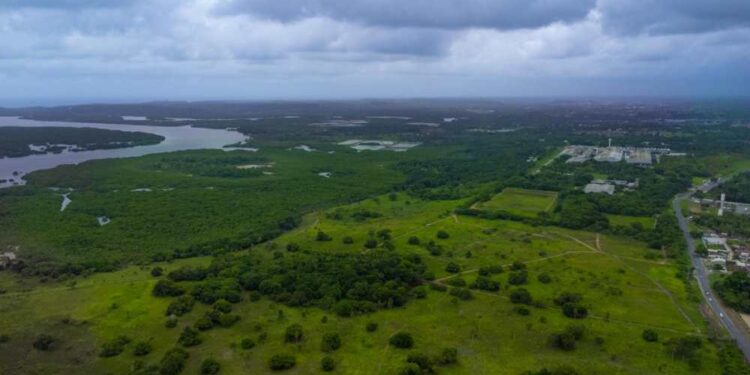 Imobiliária Imobi é acusada de invadir sítio em Pernambuco em meio a disputa por loteamento.