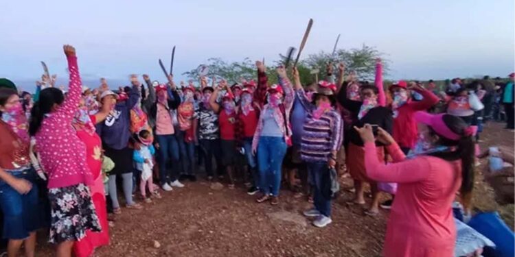 Mulheres do MST celebram ocupação realizada em Juazeiro neste domingo (8)