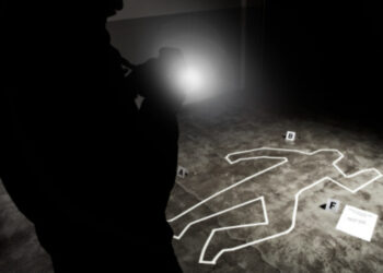 Bolsonaristas espalham teoria da conspiração sobre suposto plano de assassinato.