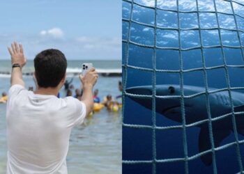 João Campos trabalha para implantar medida a partir de novembro