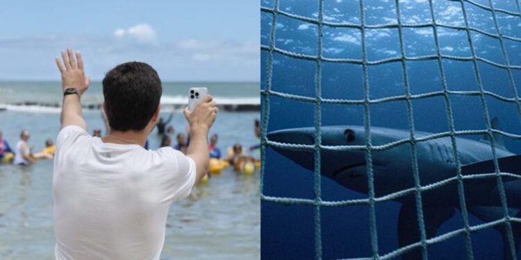 João Campos trabalha para implantar medida a partir de novembro