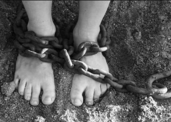 Essa é a maior atualização desde a criação do instrumento