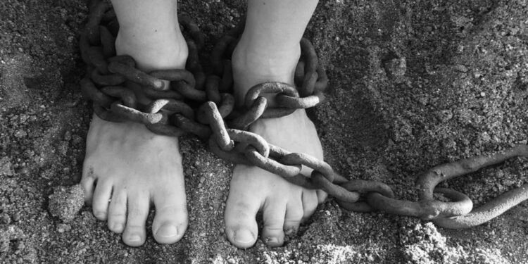 Essa é a maior atualização desde a criação do instrumento