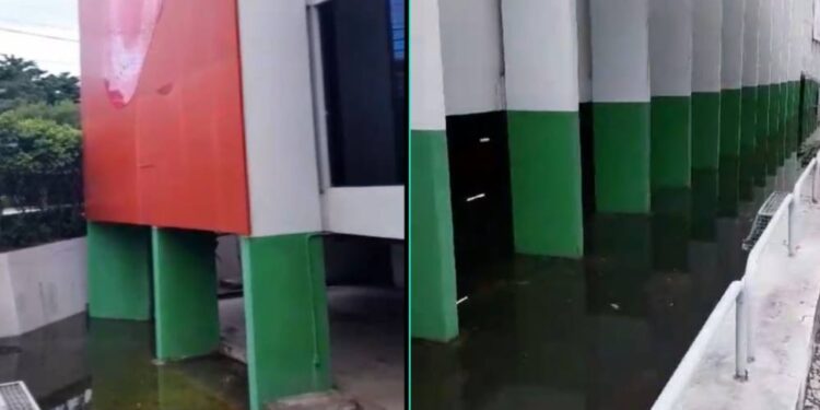 Abandono de supermercado em bairro de classe A gera aumento de casos de dengue.