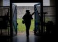 Sul do Brasil está em alerta com casos de dengue.