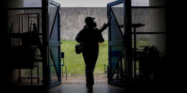 Sul do Brasil está em alerta com casos de dengue.