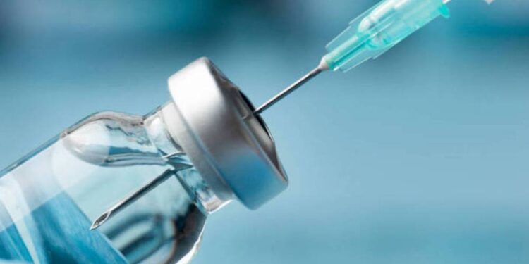 Mais que a metade dos brasileiros tomaram a vacina da dengue.