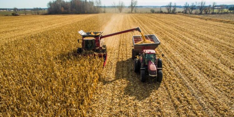 O Agronegócio e o combustível do futuro.