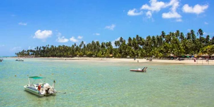 Água do mar poluída por esgoto não tratado no Eco Resort Praia dos Carneiros.