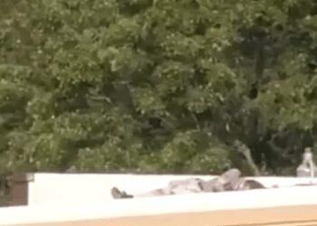 O Serviço Secreto dos EUA confirmou a morte do atirador e o identificou como sendo Thomas Matthew Crooks