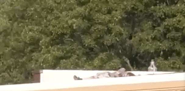 O Serviço Secreto dos EUA confirmou a morte do atirador e o identificou como sendo Thomas Matthew Crooks