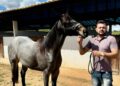 Polícia Federal apreende R$ 10 milhões em veículos de luxo e cavalos em esquema de lavagem de dinheiro.