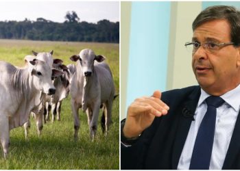 Omissão pode levar a cassação da candidatura