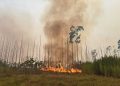Incêndio atingiu vegetação no Inpe, órgão que monitora queimadas no país