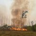 Incêndio atingiu vegetação no Inpe, órgão que monitora queimadas no país