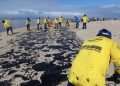 Retirada de óleo da praia dos Carneiros, em Pernambuco