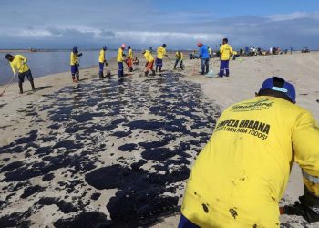 Retirada de óleo da praia dos Carneiros, em Pernambuco