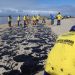 Retirada de óleo da praia dos Carneiros, em Pernambuco