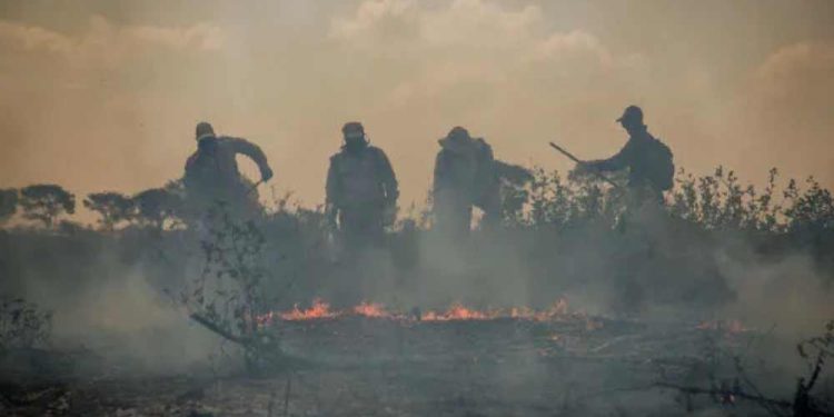 Quadrilha foi alvo de ação da PF nessa segunda (20)