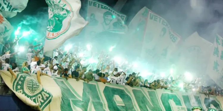 Torcida Mancha verde do Palmeiras