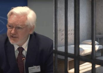 Julian Assange falou ao órgão de direitos do Conselho da Europa em sua sede em Estrasburgo em um de seus primeiros comentários após sair da prisão