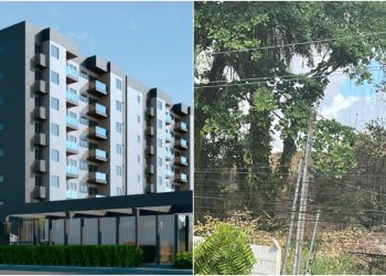 O projeto do Patio Nattu (à esq.) , na Caxangá,  ao lado da foto da área de Mata Atlântica em destruição (à dir.)