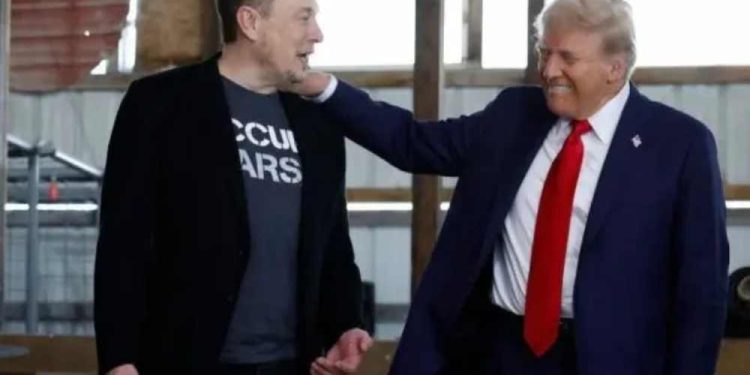 De apoiador à integrante oficial do Governo Trump, Elon Musk agora está oficialmente ao lado do presidente americano