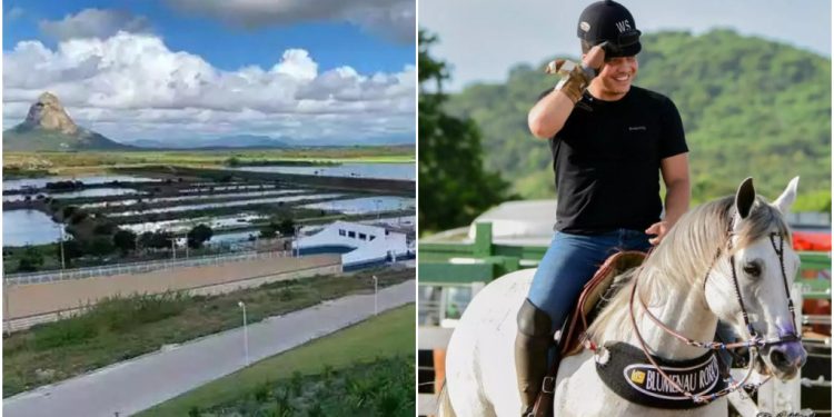 Haras do cantor Wesley Safadão (à dir.) rendeu R$ 121 milhões em leilões