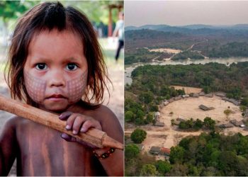 Trinta e cinco anos depois do gesto de Tuire que parou Kararaô, a meprintire Rikaro Kayapó acompanha a luta sem fim de seu povo diante de Belo Monte