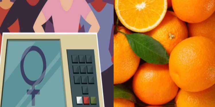 Ação movida contra  chapa eleita do PP pede cassação por fraude à cota mínima de gênero.